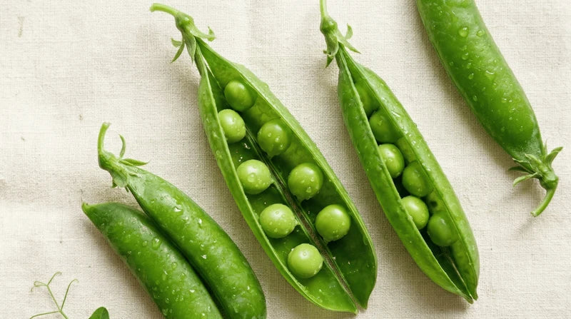 Pea Protein